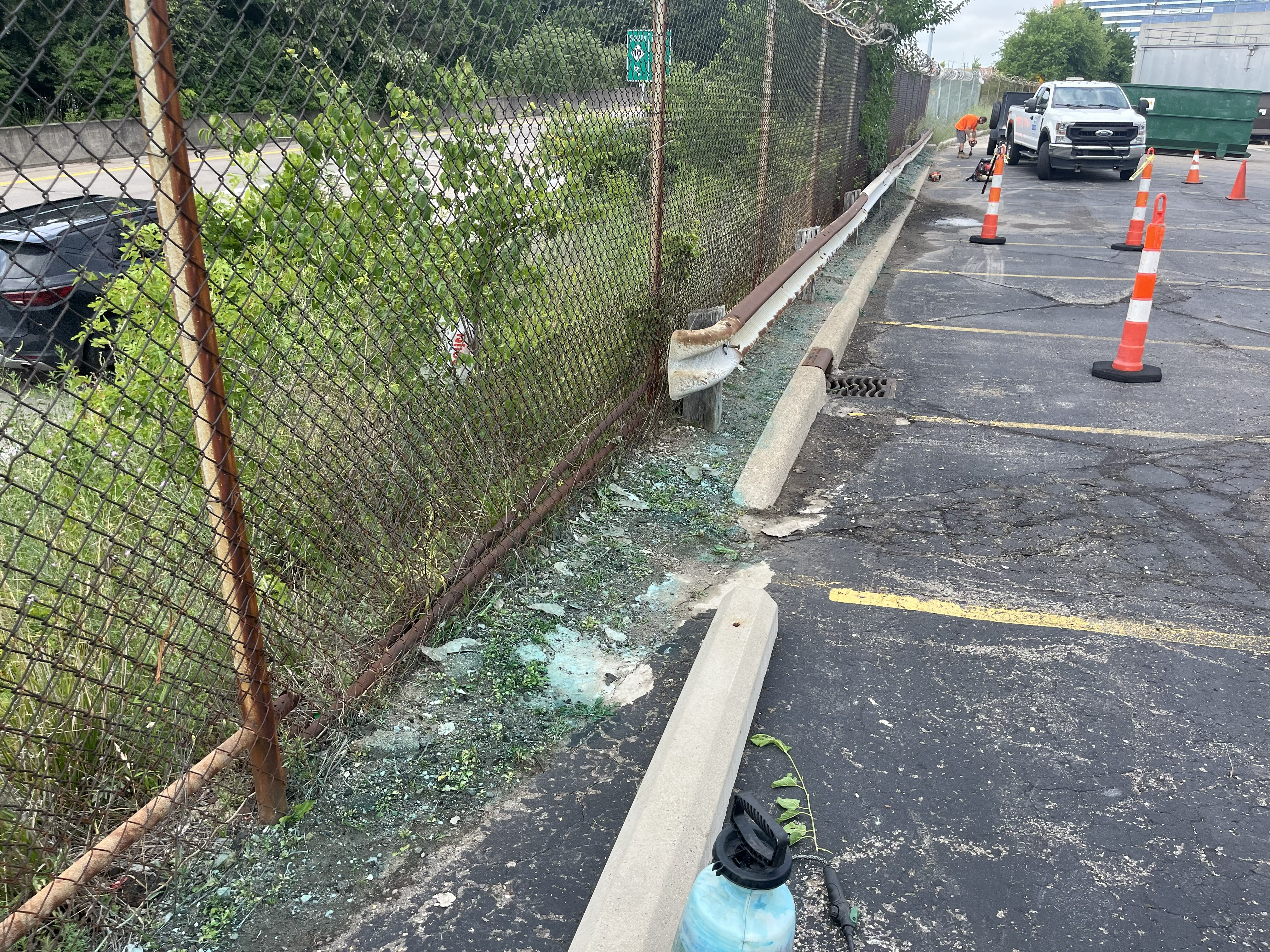 Landscaping — brush and overgrowth clearing